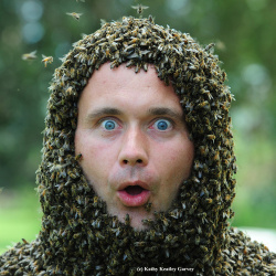 Beekeeping